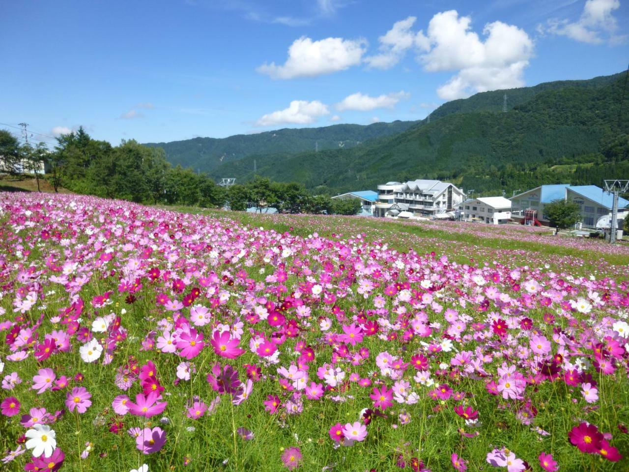 Joyful Honoki Hotel Такаяма Екстериор снимка